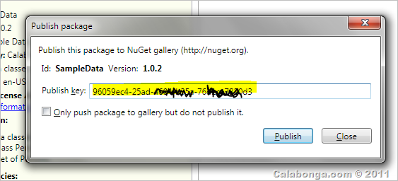 nuget_api_key_publish