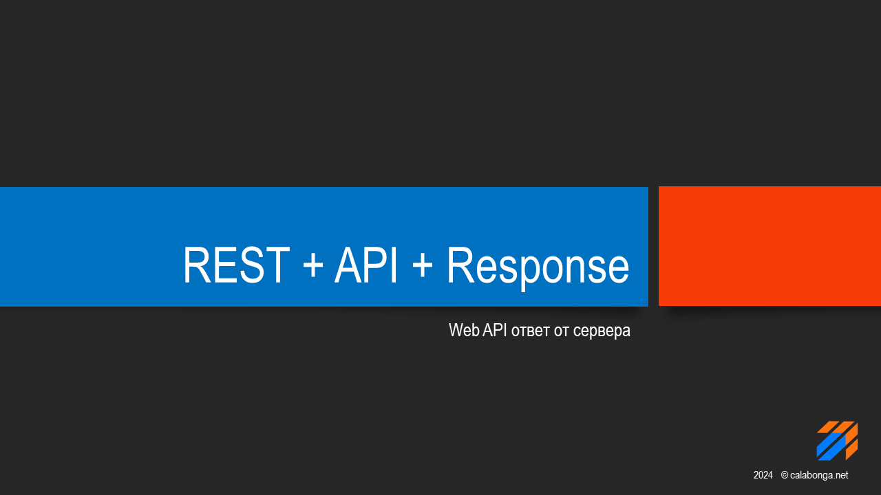 REST + API + Response